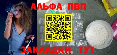 спиды Кингисепп