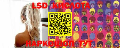 спиды Кингисепп