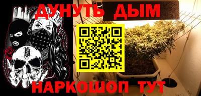 спиды Кингисепп