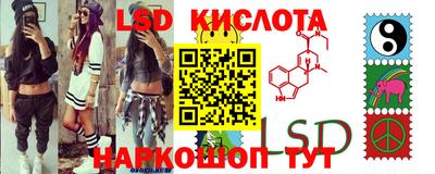 спиды Кингисепп