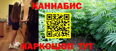 спиды Кингисепп