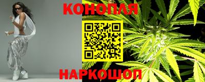 спиды Кингисепп