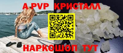 спиды Кингисепп