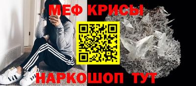 спиды Кингисепп