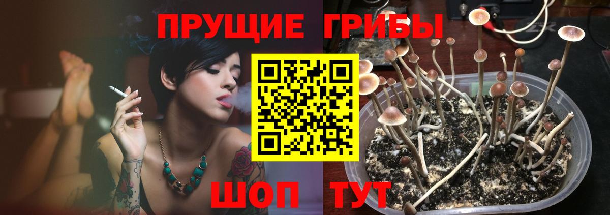 Кохма  купить наркоту  Вход с VPN  Псилоцибиновые грибы Cubensis 